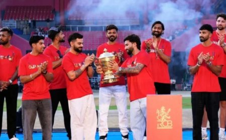 आदित्य बिड़ला ग्रुप नेतृत्व वाले समूह ने RCB को 16706 करोड़ में खरीदा, IPL इतिहास का हुआ सबसे बड़ा सौदा