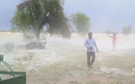 Bikaner Hailstorm: राजस्थान का बीकानेर बना कश्मीर! ओलों की सफेद चादर ने बदली तस्वीर, किसानों की बढ़ी चिंता